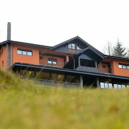 Pensiunea Ayana Petrozsény Kültér fotó